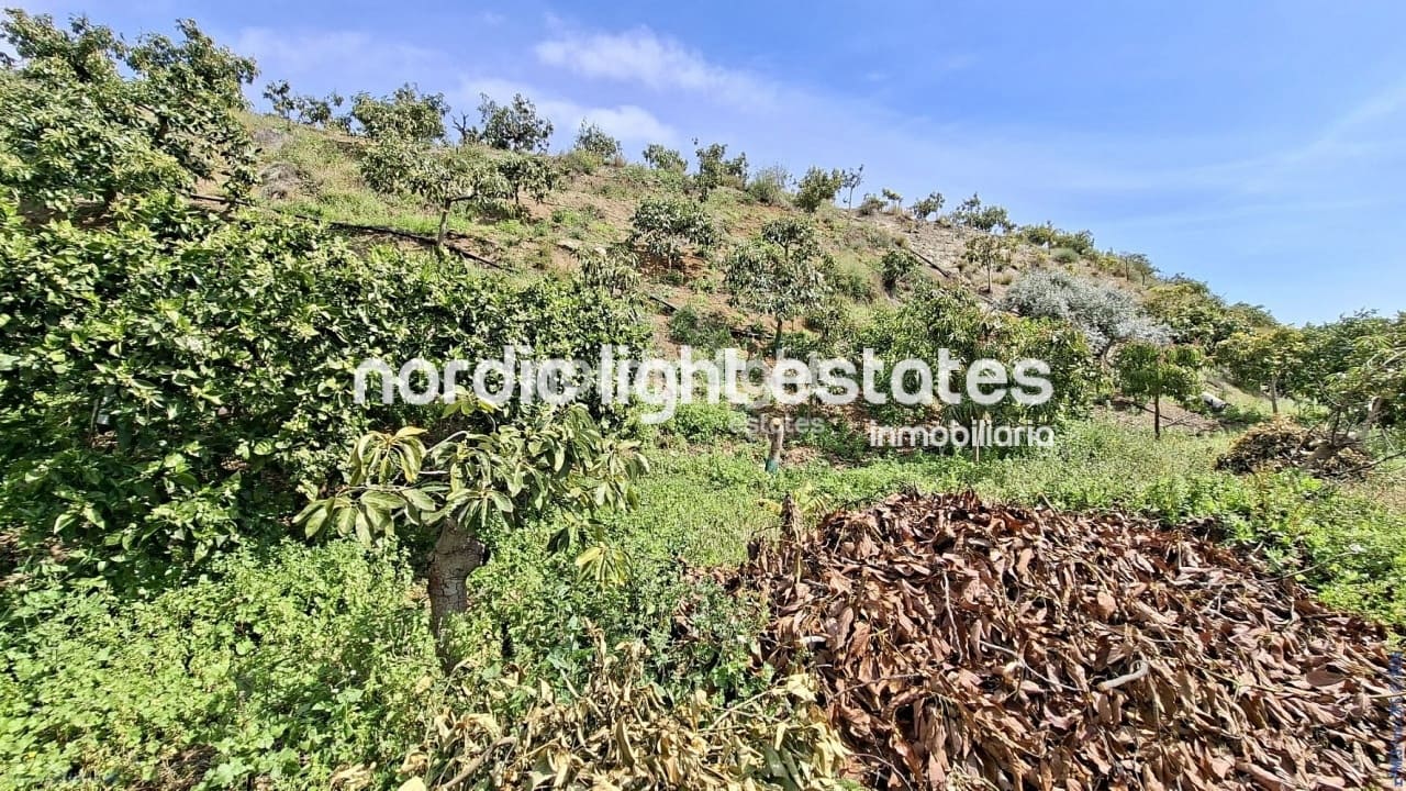 5 bedroom Finca/Country House for sale in Velez-Malaga with garage - € 650,000 (Ref: 9696805)