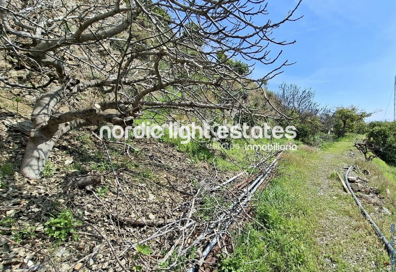 5 bedroom Finca/Country House for sale in Velez-Malaga with garage - € 650,000 (Ref: 9696805)