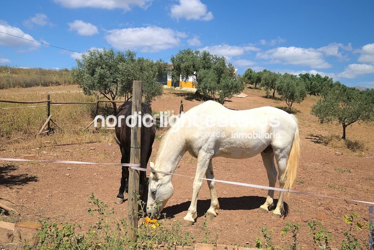 4 bedroom Finca/Country House for sale in Periana with pool garage - € 595,000 (Ref: 9733658)