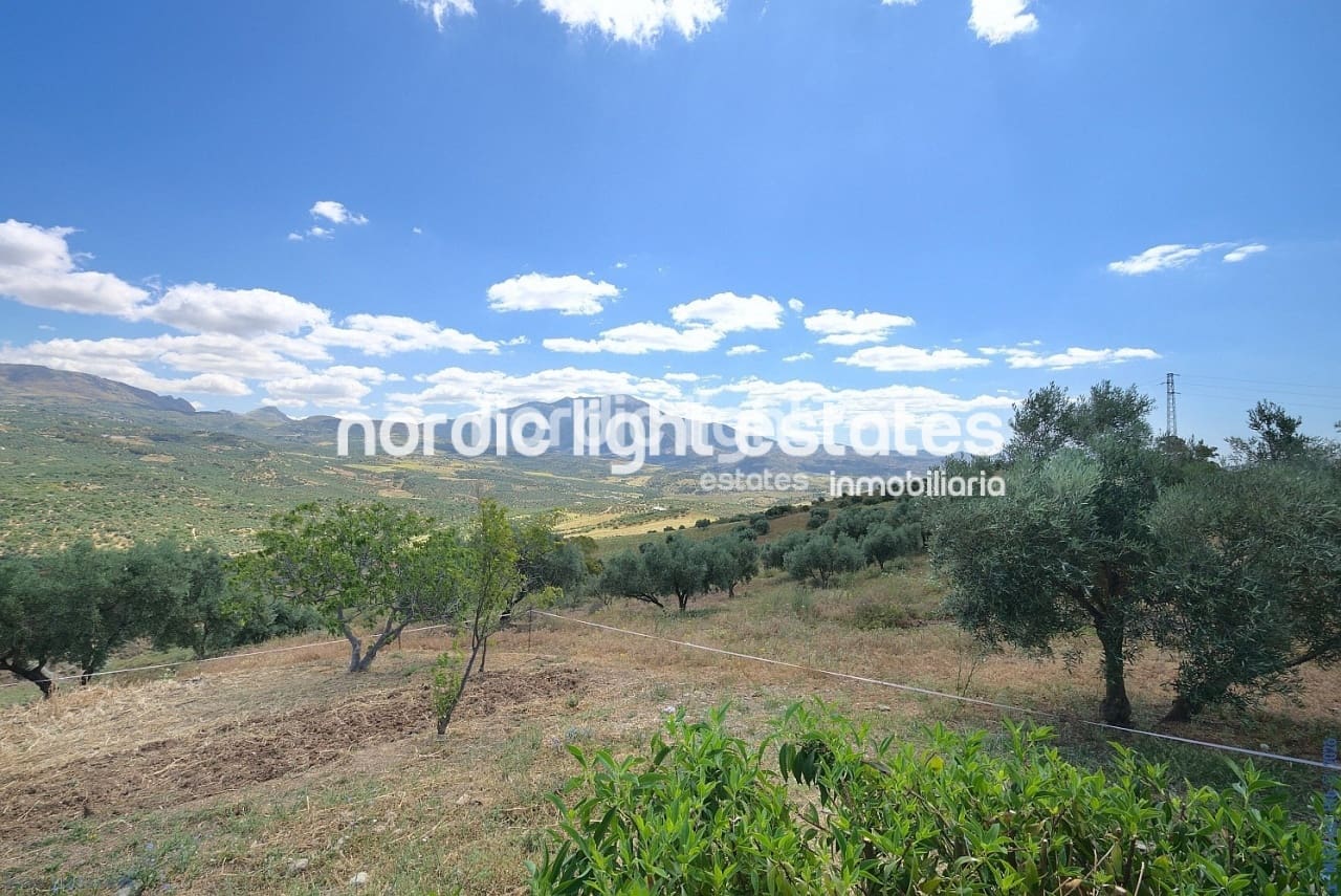 4 bedroom Finca/Country House for sale in Periana with pool garage - € 595,000 (Ref: 9733658)