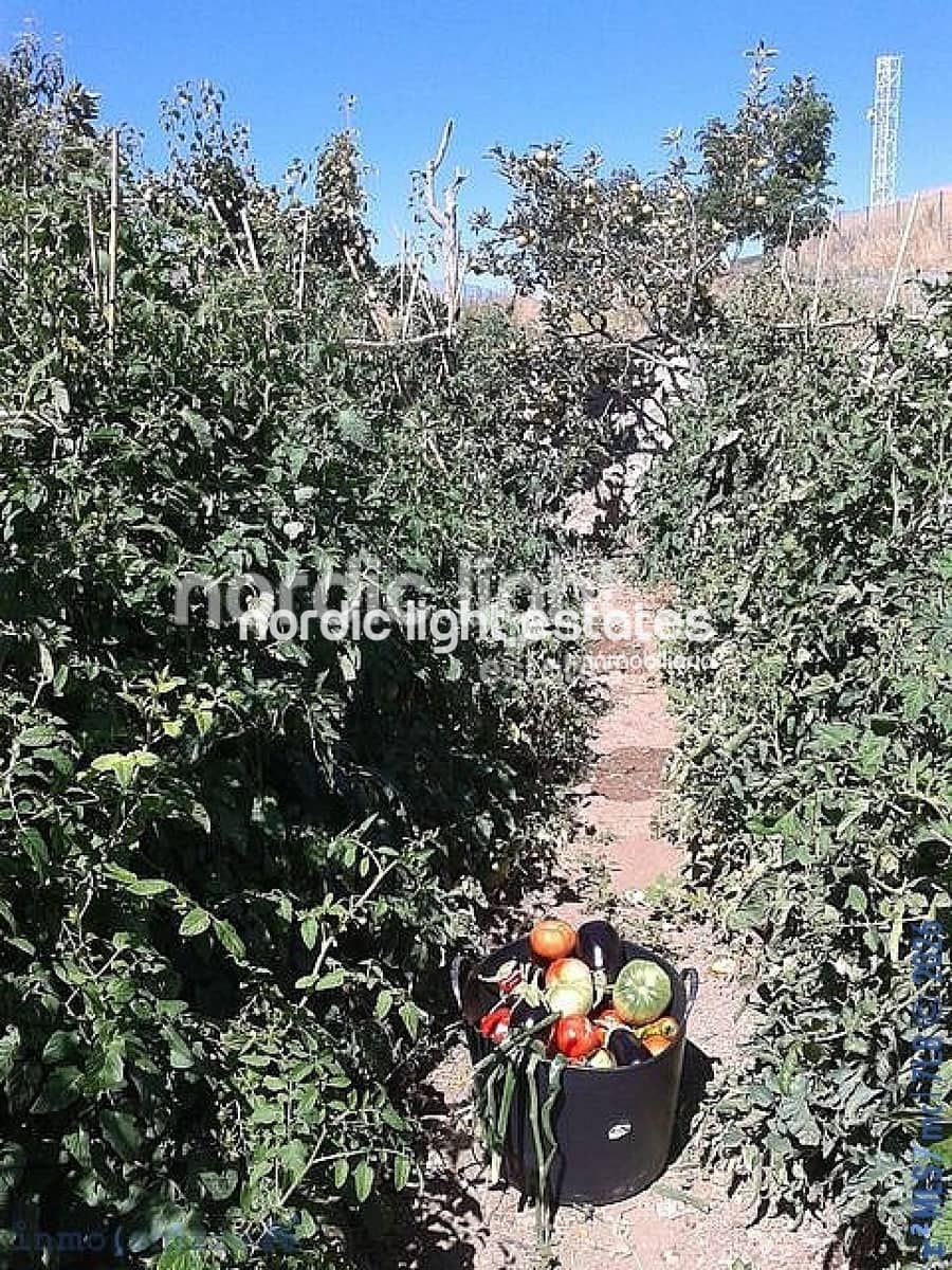 2 bedroom Finca/Country House for sale in Alcaucin - € 260,000 (Ref: 9737038)