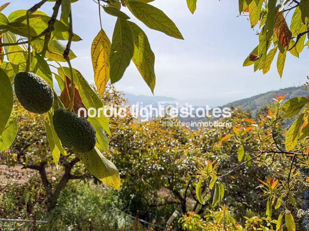 2 chambre Finca/Maison de Campagne à vendre à Torrox avec piscine - 375 000 € (Ref: 9827606)