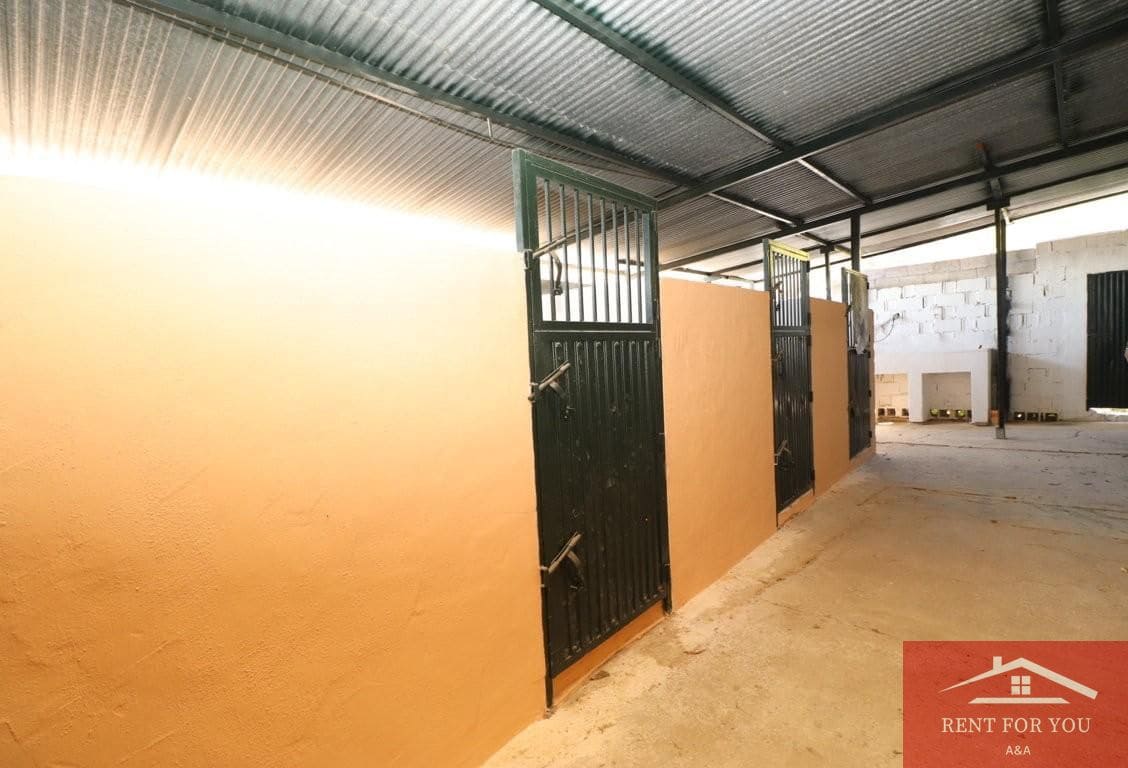 3 quarto Moradia para arrendar em Alozaina com piscina - 1 800 € (Ref: 10086760)