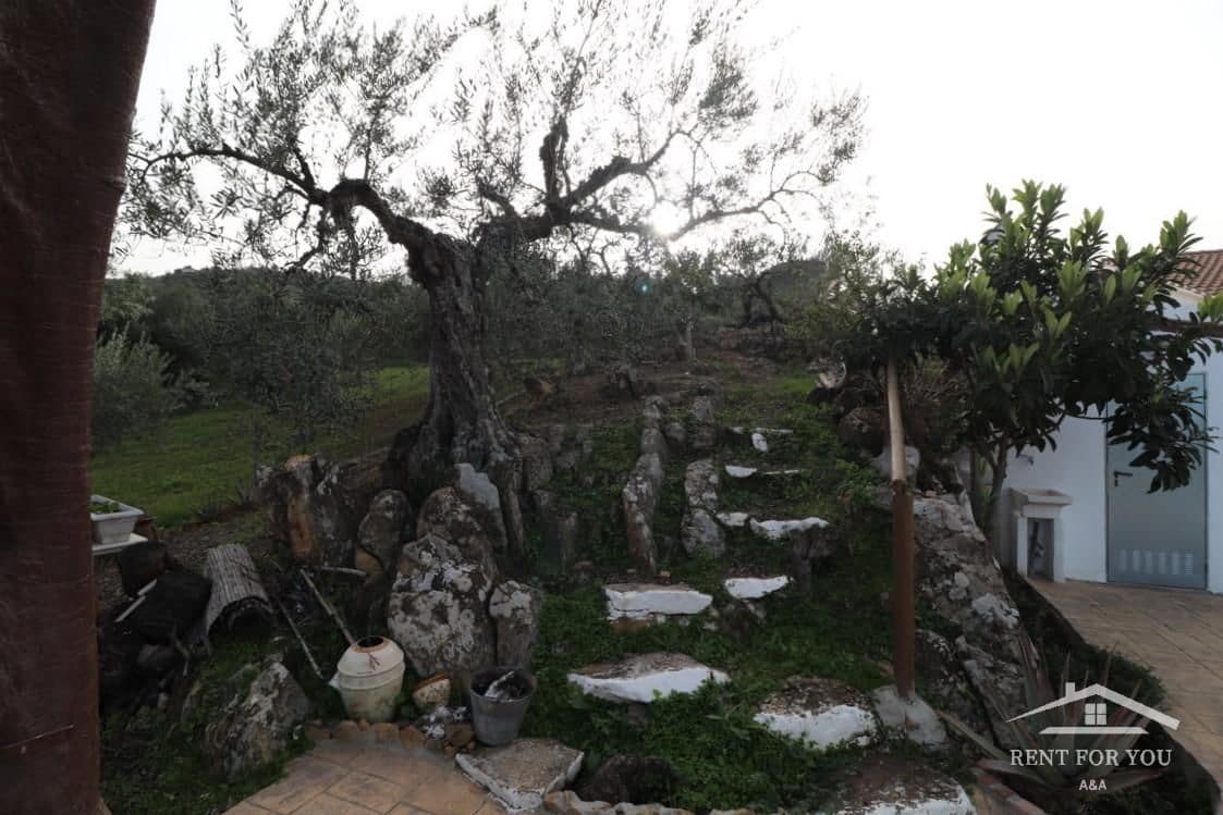 3 Zimmer Villa zu vermieten in Coin mit Pool Garage - 1.300 € (Ref: 7404430)