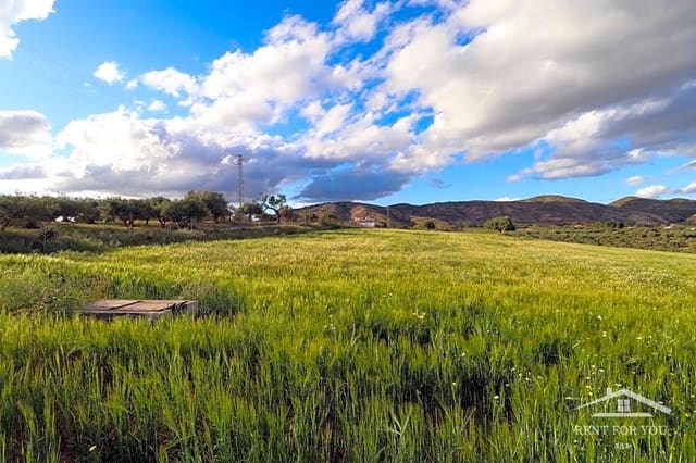 Mark till salu i Alhaurín de la Torre - 240 000 € (Ref: 7522865)