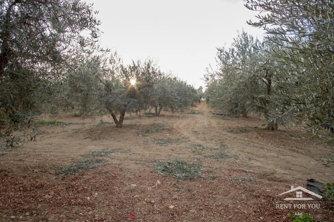 3 bedroom Villa for rent in Alhaurín el Grande with pool € 2,500 (Ref