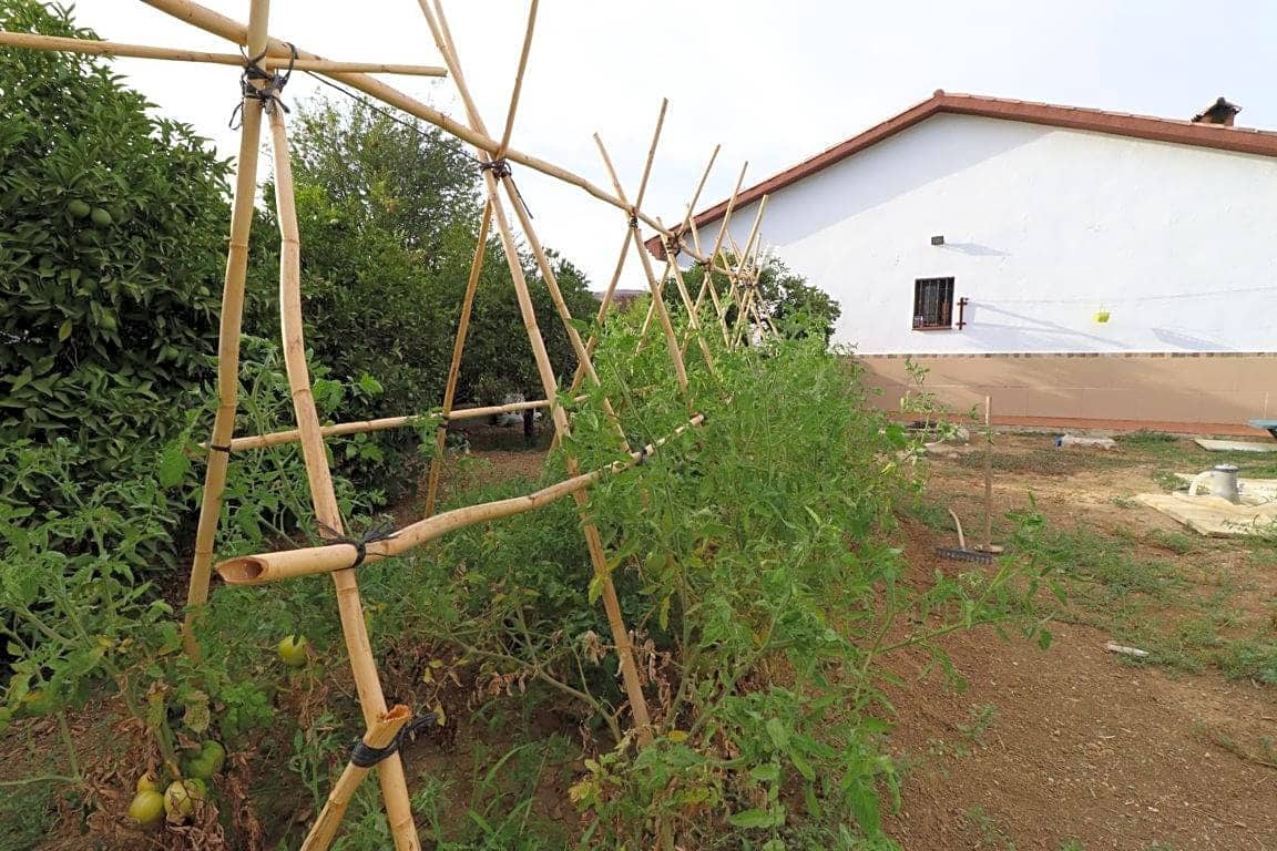 2 bedroom Villa for rent in Alhaurin el Grande with garage - € 1,200 (Ref: 8488219)