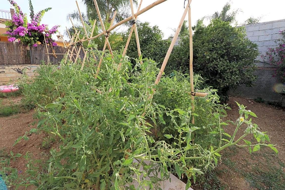 2 bedroom Villa for rent in Alhaurin el Grande with garage - € 1,200 (Ref: 8488219)