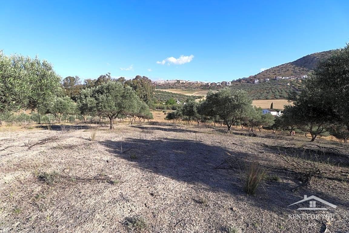 Grunde uden byggetilladelser til salg i Coin - € 90.000 (Ref: 8902835)