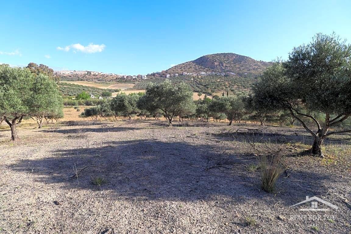 Grunde uden byggetilladelser til salg i Coin - € 90.000 (Ref: 8902835)