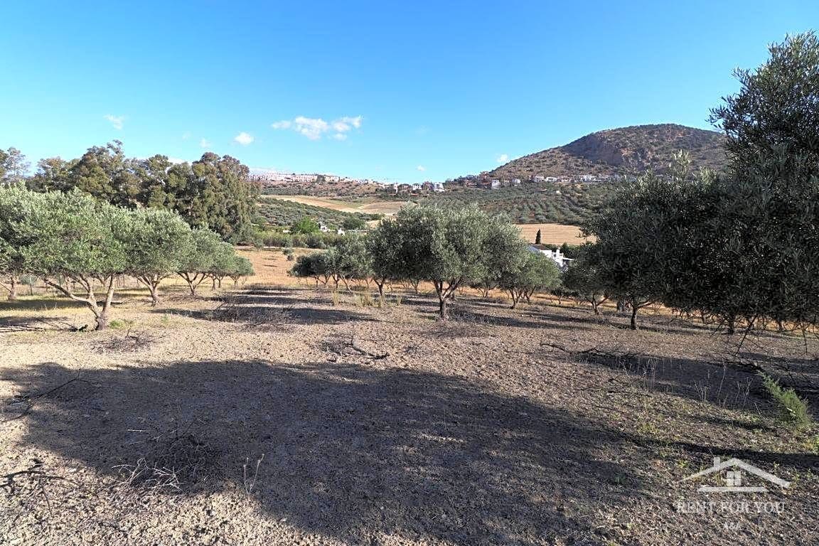 Grunde uden byggetilladelser til salg i Coin - € 90.000 (Ref: 8902835)