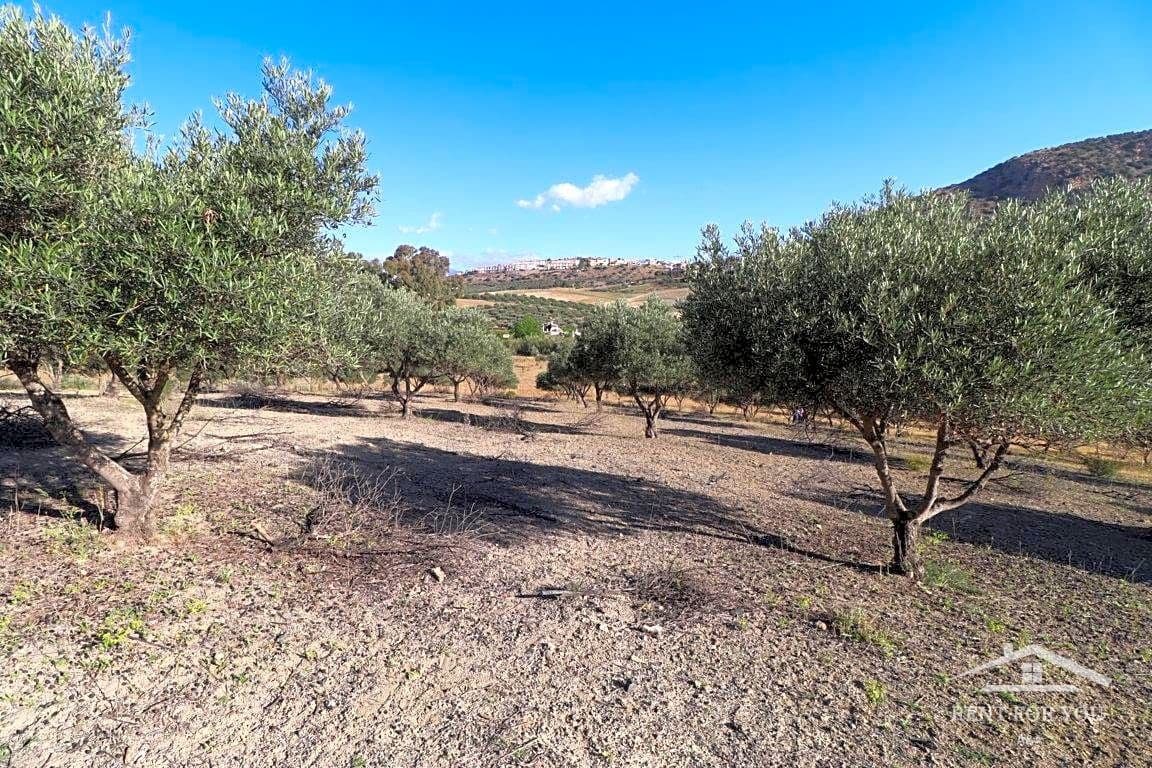 Grunde uden byggetilladelser til salg i Coin - € 90.000 (Ref: 8902835)