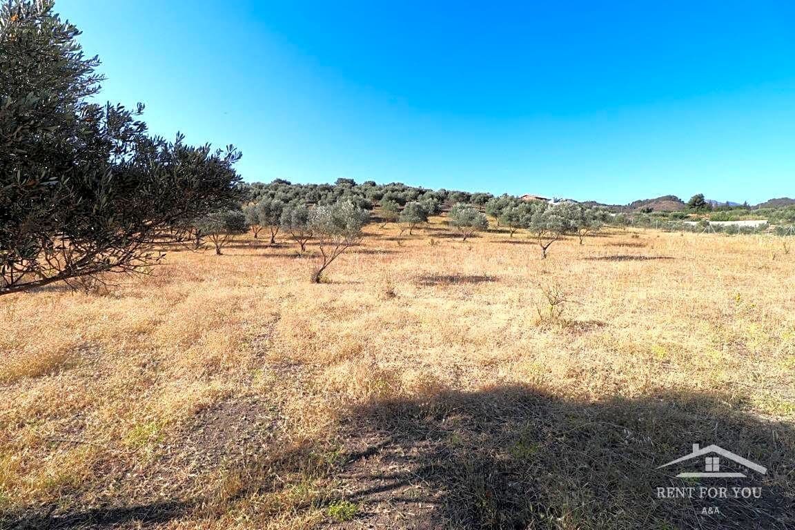 Grunde uden byggetilladelser til salg i Coin - € 90.000 (Ref: 8902835)