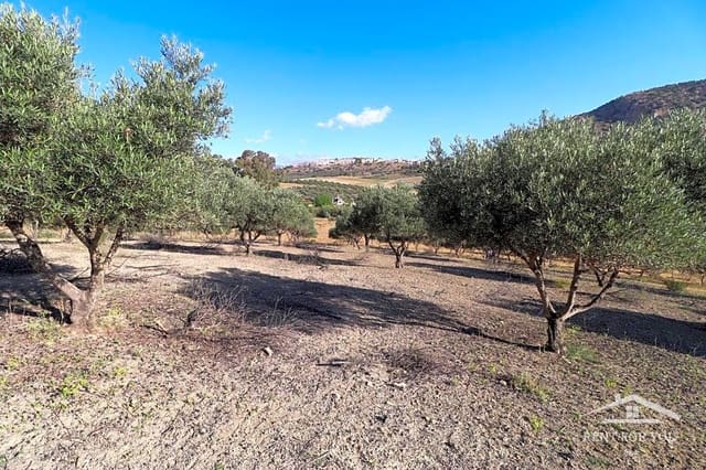 Rakentamaton maa myytävänä paikassa Coín - 90 000 € (Ref: 8902835)