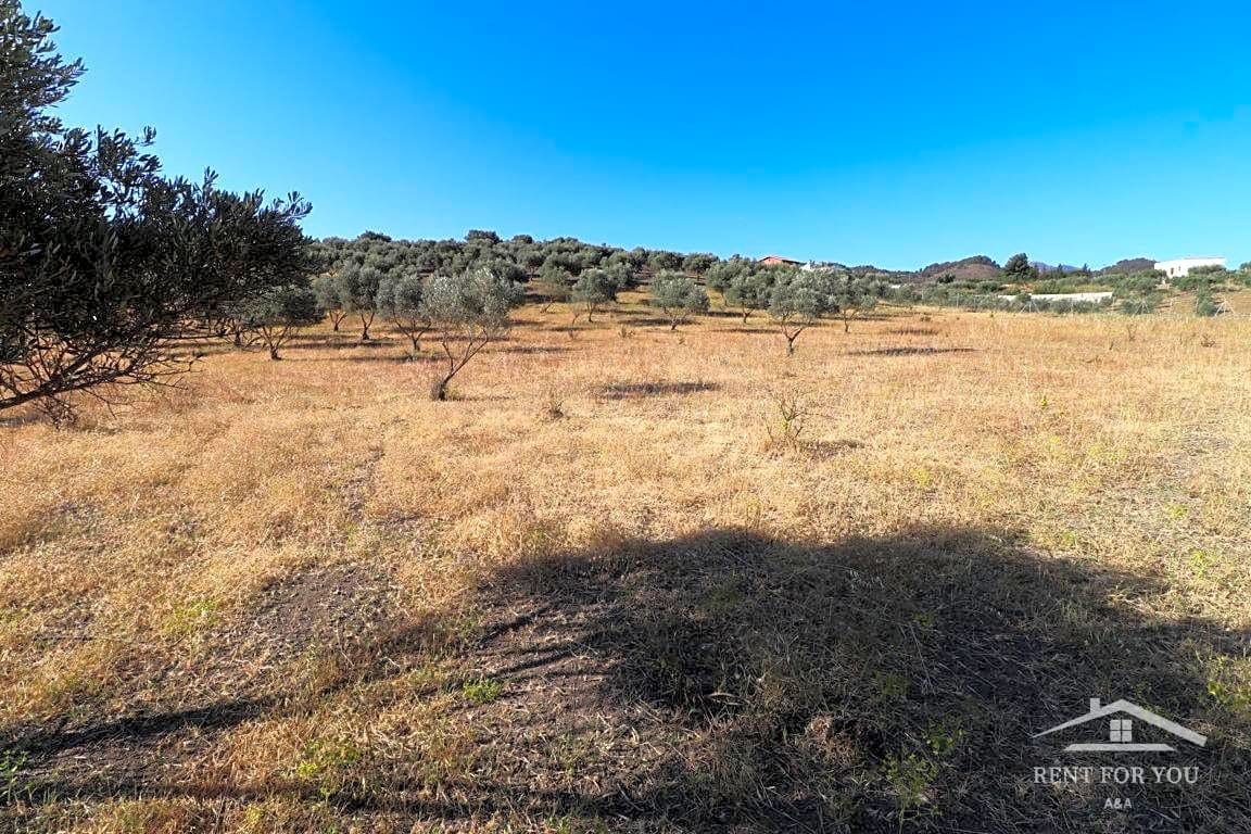 Grunde uden byggetilladelser til salg i Coin - € 90.000 (Ref: 8902835)