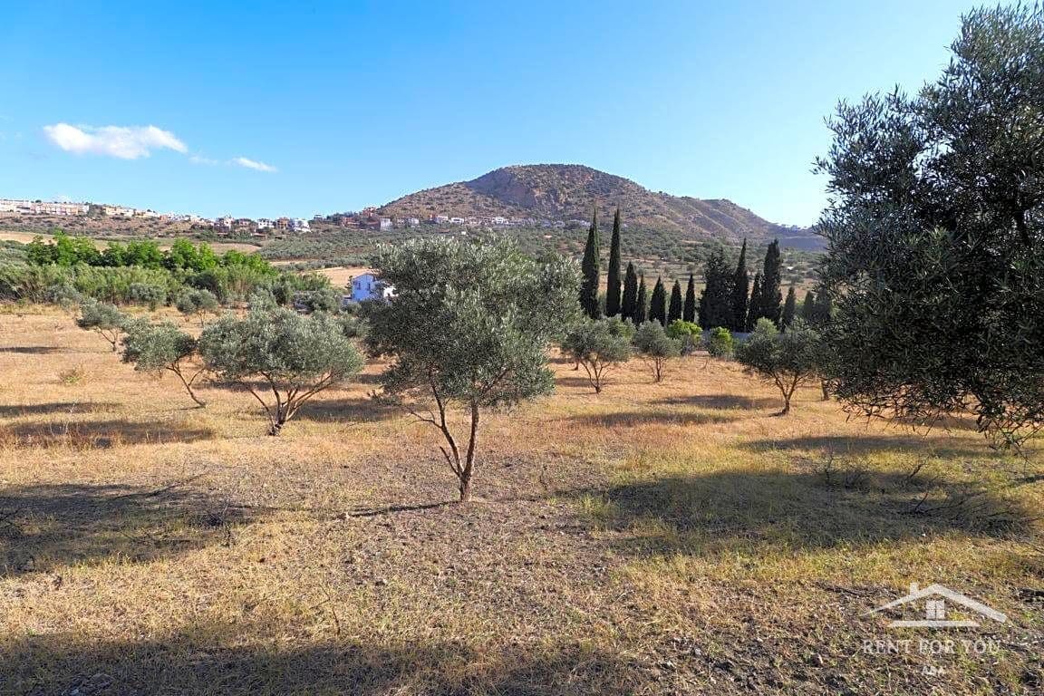 Grunde uden byggetilladelser til salg i Coin - € 90.000 (Ref: 8902835)