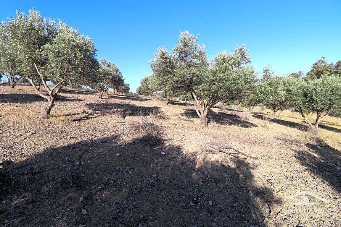 Grunde uden byggetilladelser til salg i Coin - € 90.000 (Ref: 8902835)