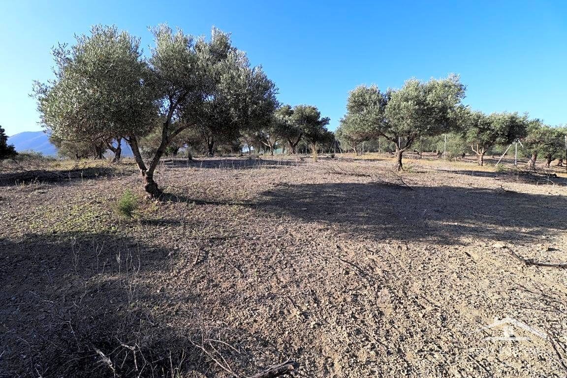 Grunde uden byggetilladelser til salg i Coin - € 90.000 (Ref: 8902835)