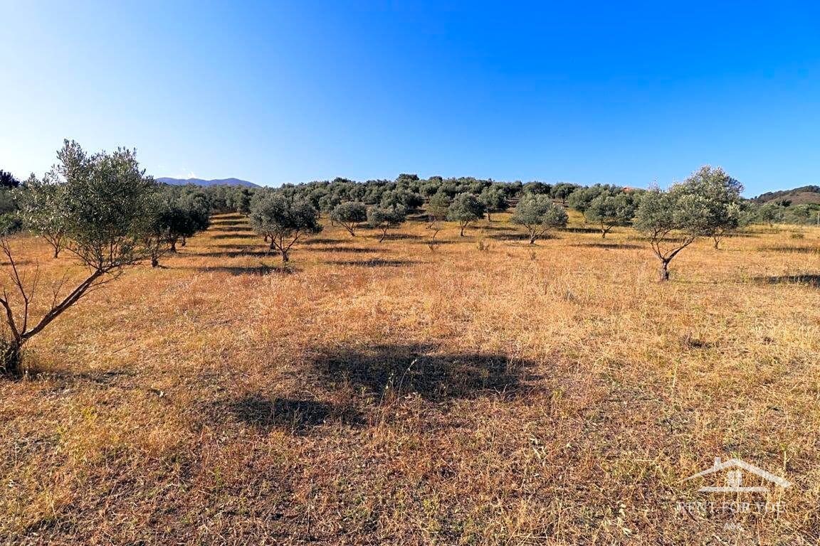 Grunde uden byggetilladelser til salg i Coin - € 90.000 (Ref: 8902835)