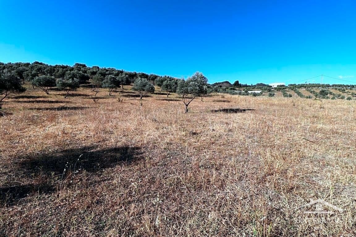 Grunde uden byggetilladelser til salg i Coin - € 90.000 (Ref: 8902835)