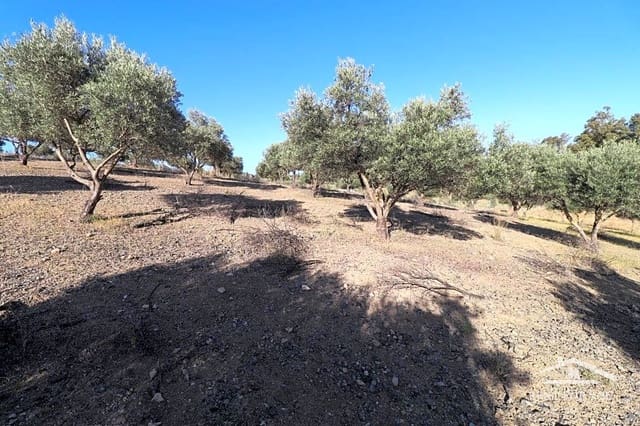 Rakentamaton maa myytävänä paikassa Coín - 90 000 € (Ref: 8902835)