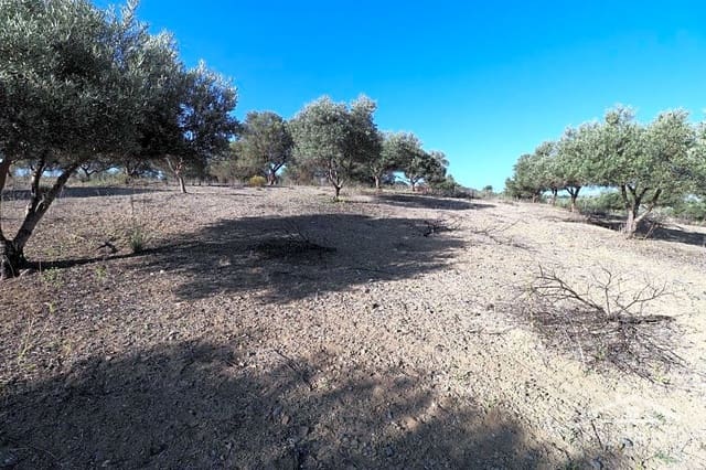 Rakentamaton maa myytävänä paikassa Coín - 90 000 € (Ref: 8902835)