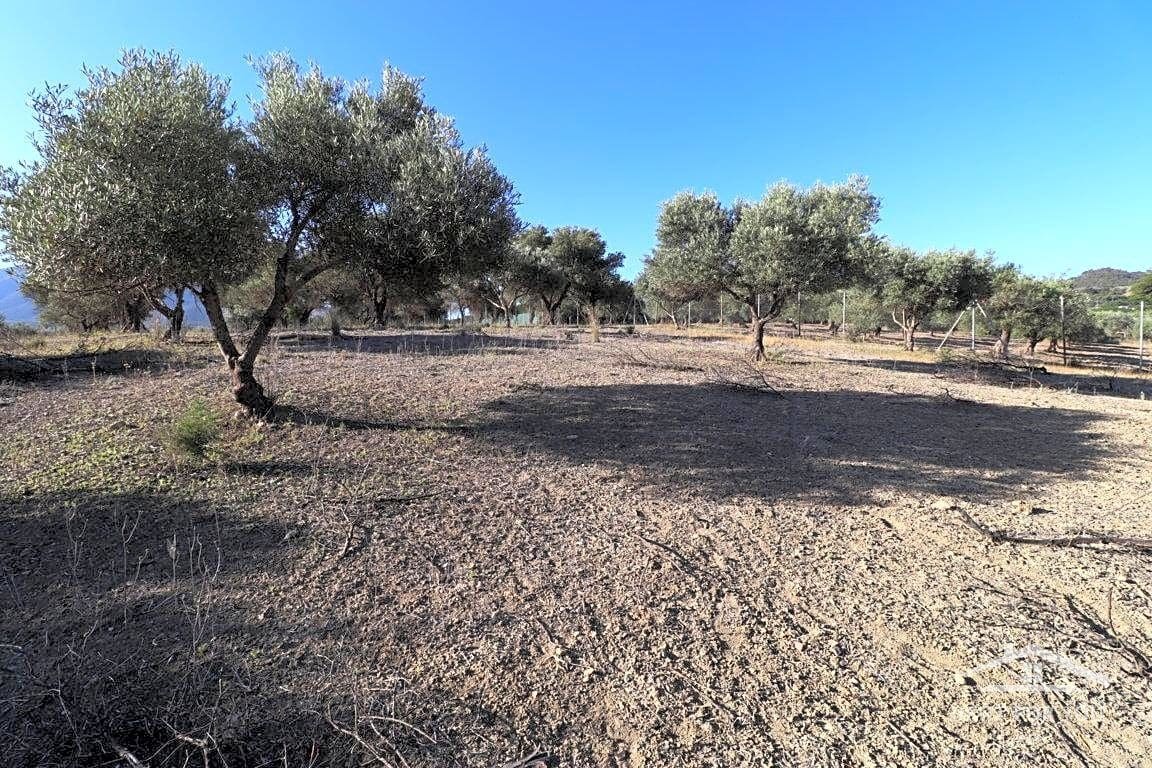 Grunde uden byggetilladelser til salg i Coin - € 90.000 (Ref: 8902835)