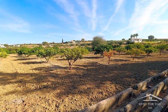 Undeveloped Land for sale in Alhaurín el Grande - € 191,000 (Ref: 8977336)