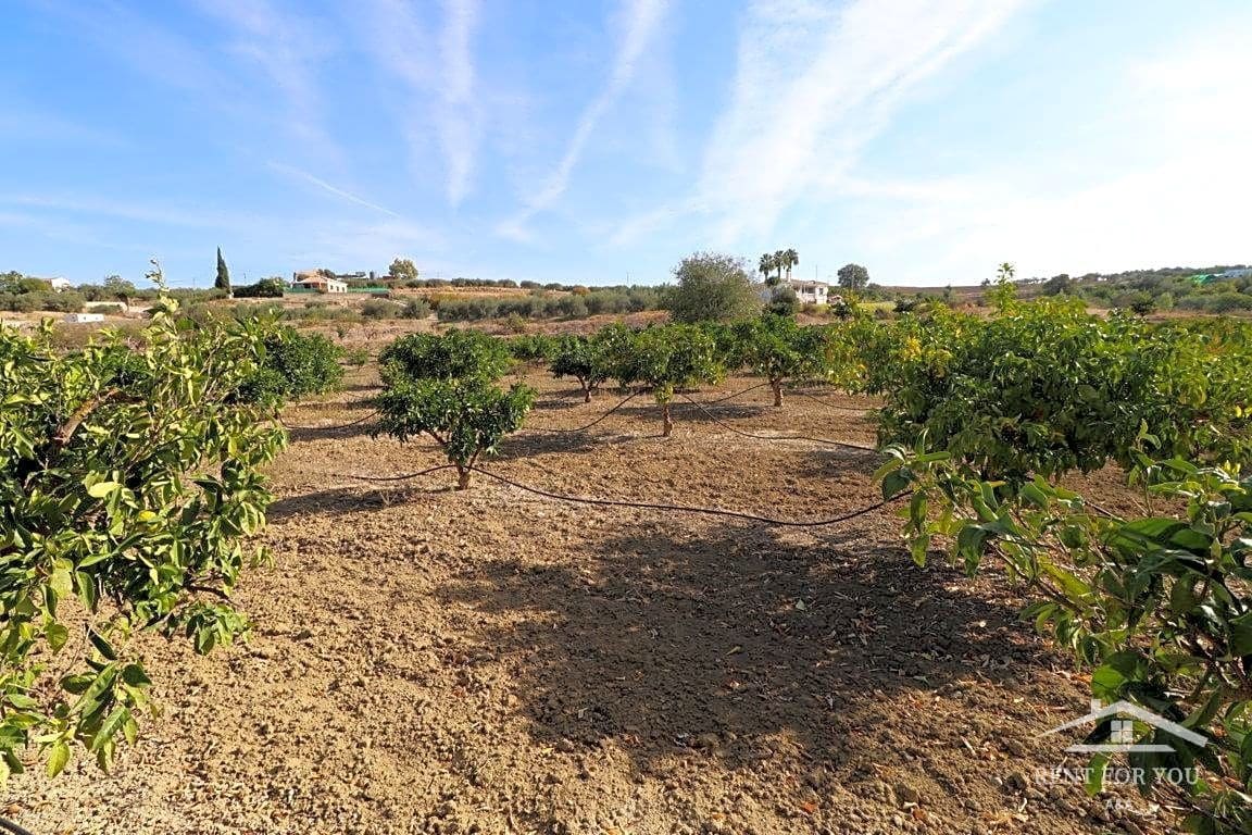 Grunde uden byggetilladelser til salg i Alhaurin el Grande - € 191.000 (Ref: 8977336)