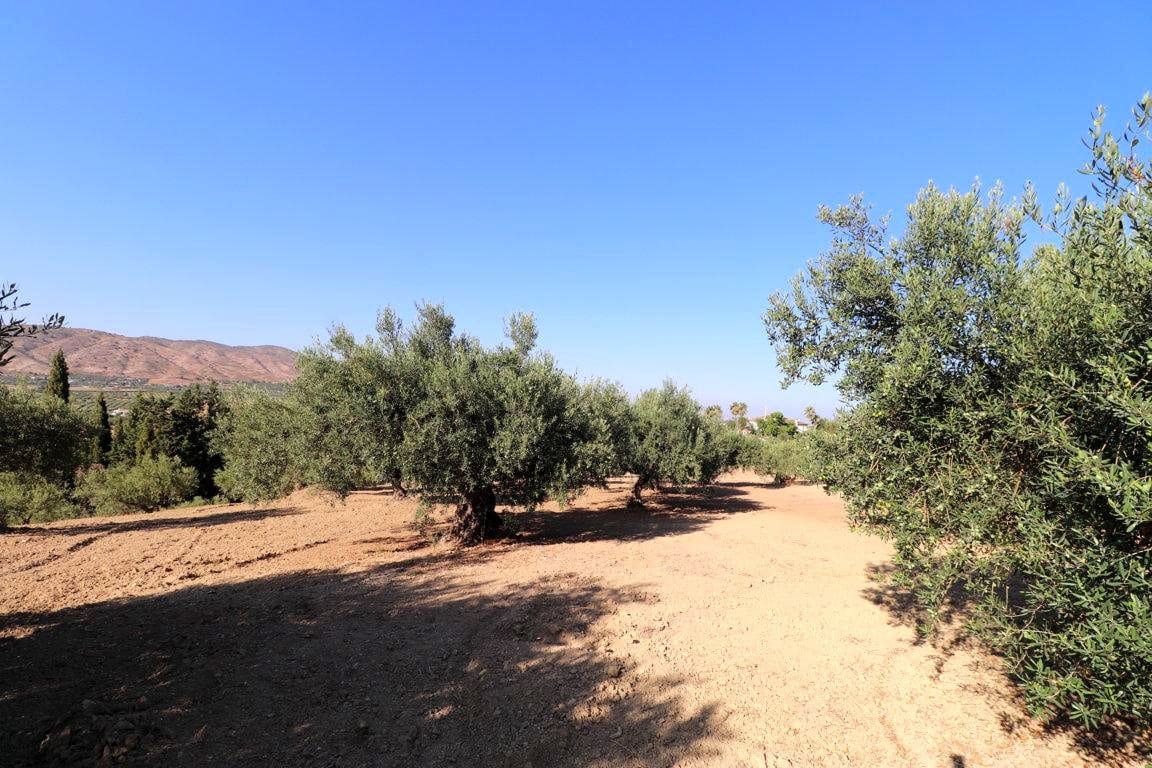 1 quarto Quinta/Casa Rural para venda em Alhaurin el Grande - 460 000 € (Ref: 9116533)