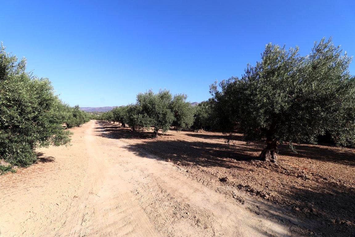 1 quarto Quinta/Casa Rural para venda em Alhaurin el Grande - 460 000 € (Ref: 9116533)