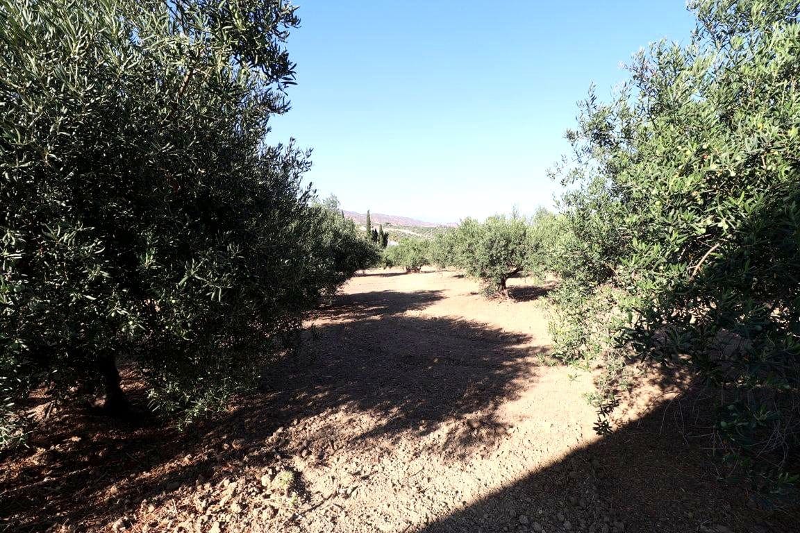 1 quarto Quinta/Casa Rural para venda em Alhaurin el Grande - 460 000 € (Ref: 9116533)