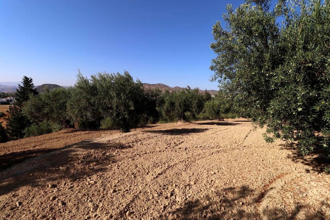 1 quarto Quinta/Casa Rural para venda em Alhaurin el Grande - 460 000 € (Ref: 9116533)