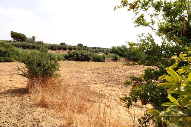 Grunde uden byggetilladelser til salg i Alhaurín el Grande - € 75.000 (Ref: 9177125)