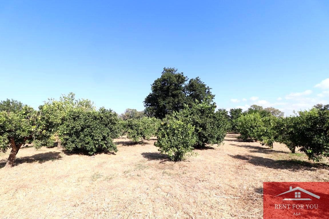 Mark till salu i Cartama - 87 000 € (Ref: 9243665)