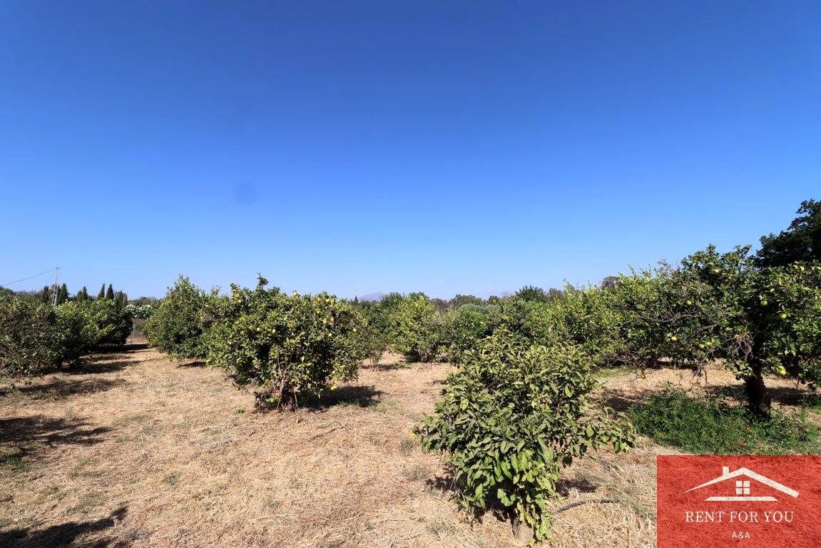 Mark till salu i Cartama - 87 000 € (Ref: 9243665)