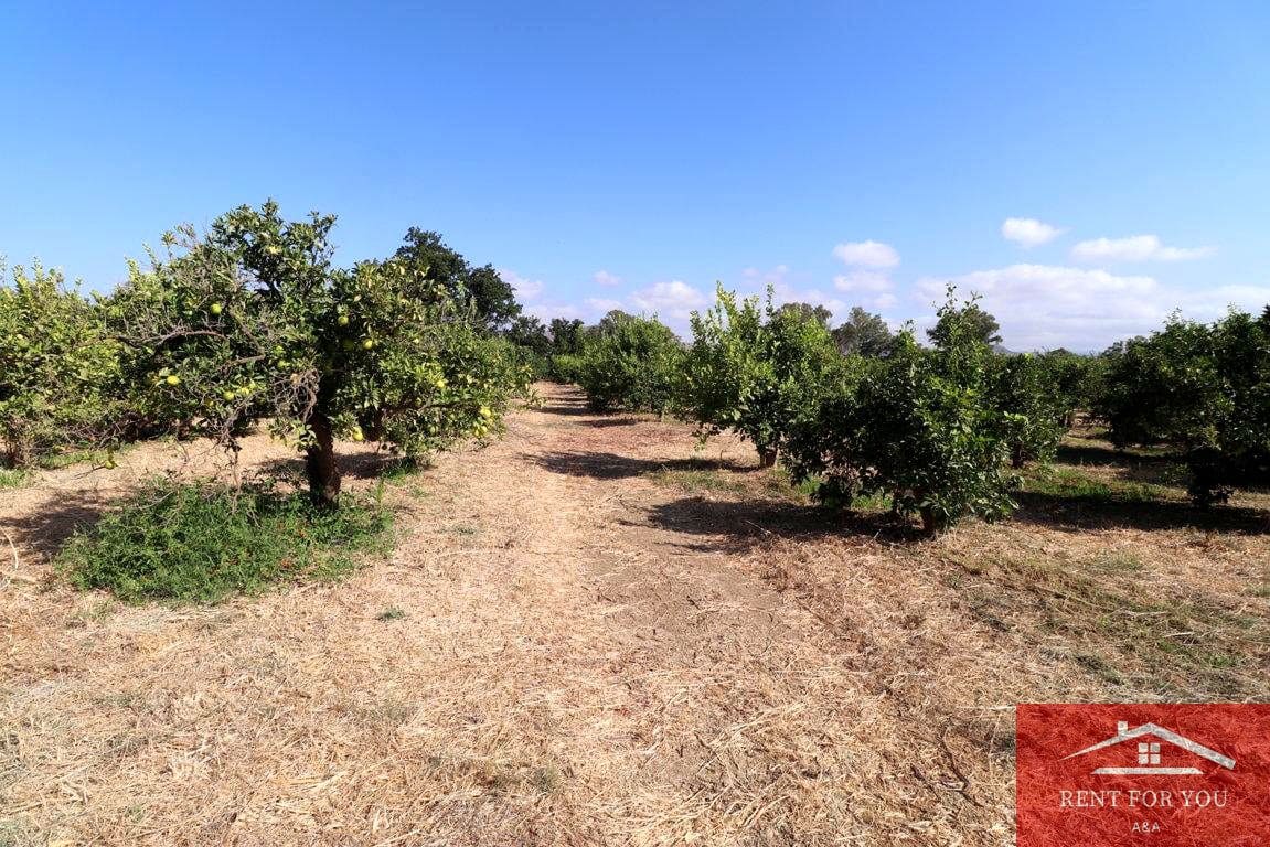 Mark till salu i Cartama - 87 000 € (Ref: 9243665)