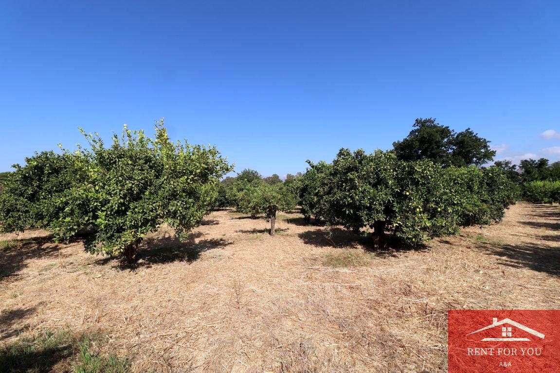 Mark till salu i Cartama - 87 000 € (Ref: 9243665)