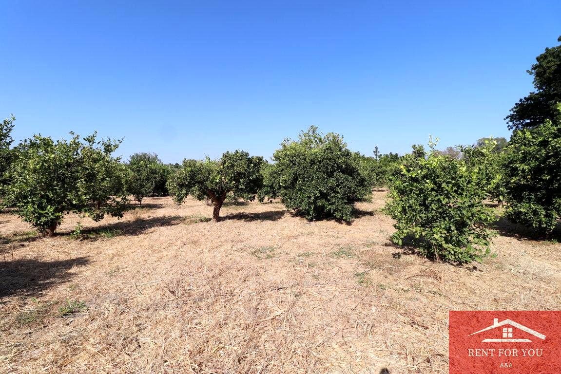 Mark till salu i Cartama - 87 000 € (Ref: 9243665)