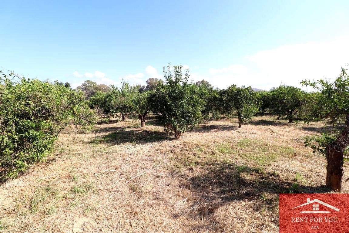 Mark till salu i Cartama - 87 000 € (Ref: 9243665)