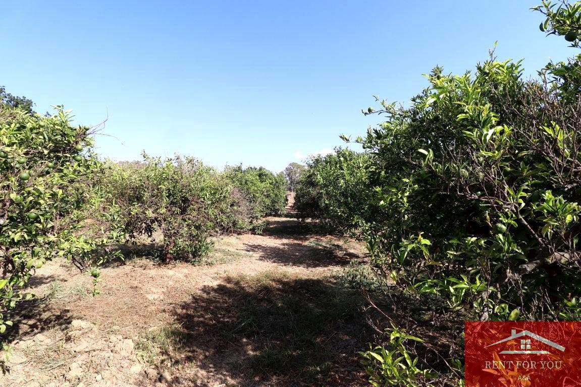 Mark till salu i Cartama - 87 000 € (Ref: 9243665)