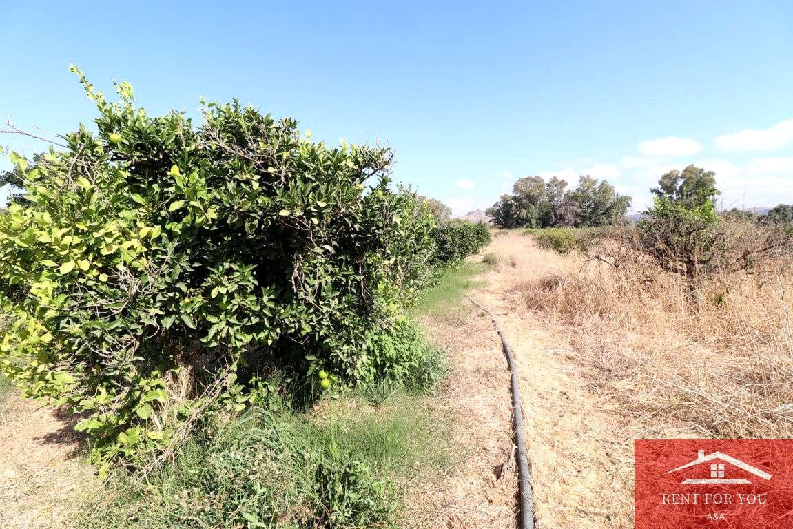 Mark till salu i Cartama - 87 000 € (Ref: 9243665)