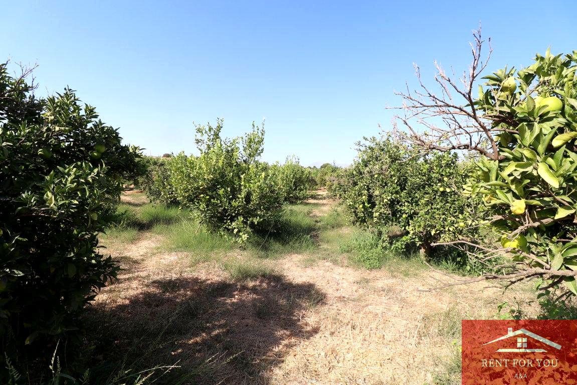 Mark till salu i Cartama - 87 000 € (Ref: 9243665)