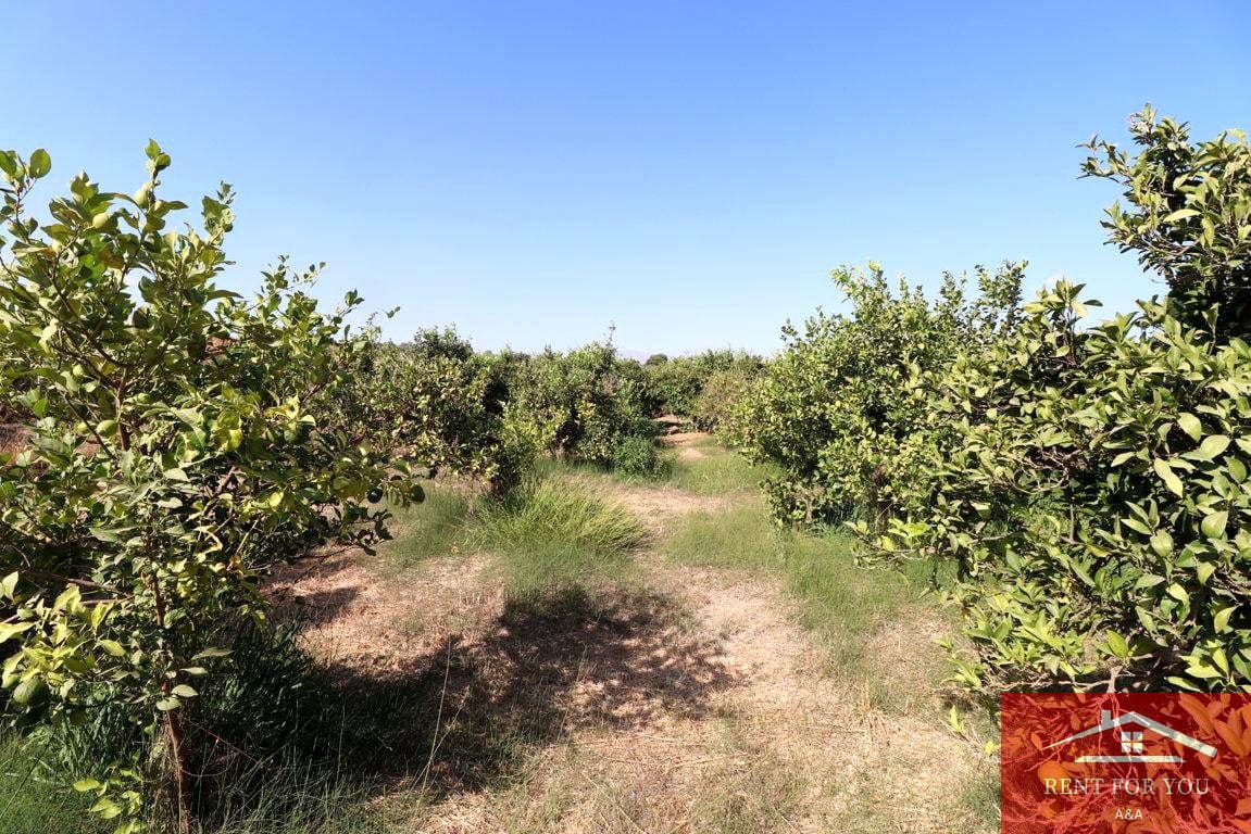 Mark till salu i Cartama - 87 000 € (Ref: 9243665)