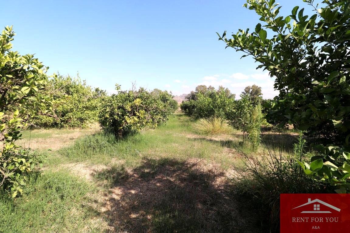 Mark till salu i Cartama - 87 000 € (Ref: 9243665)