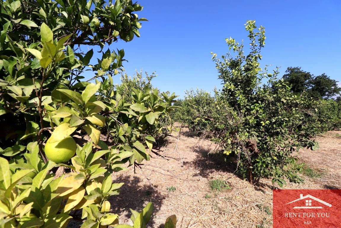 Mark till salu i Cartama - 87 000 € (Ref: 9243665)