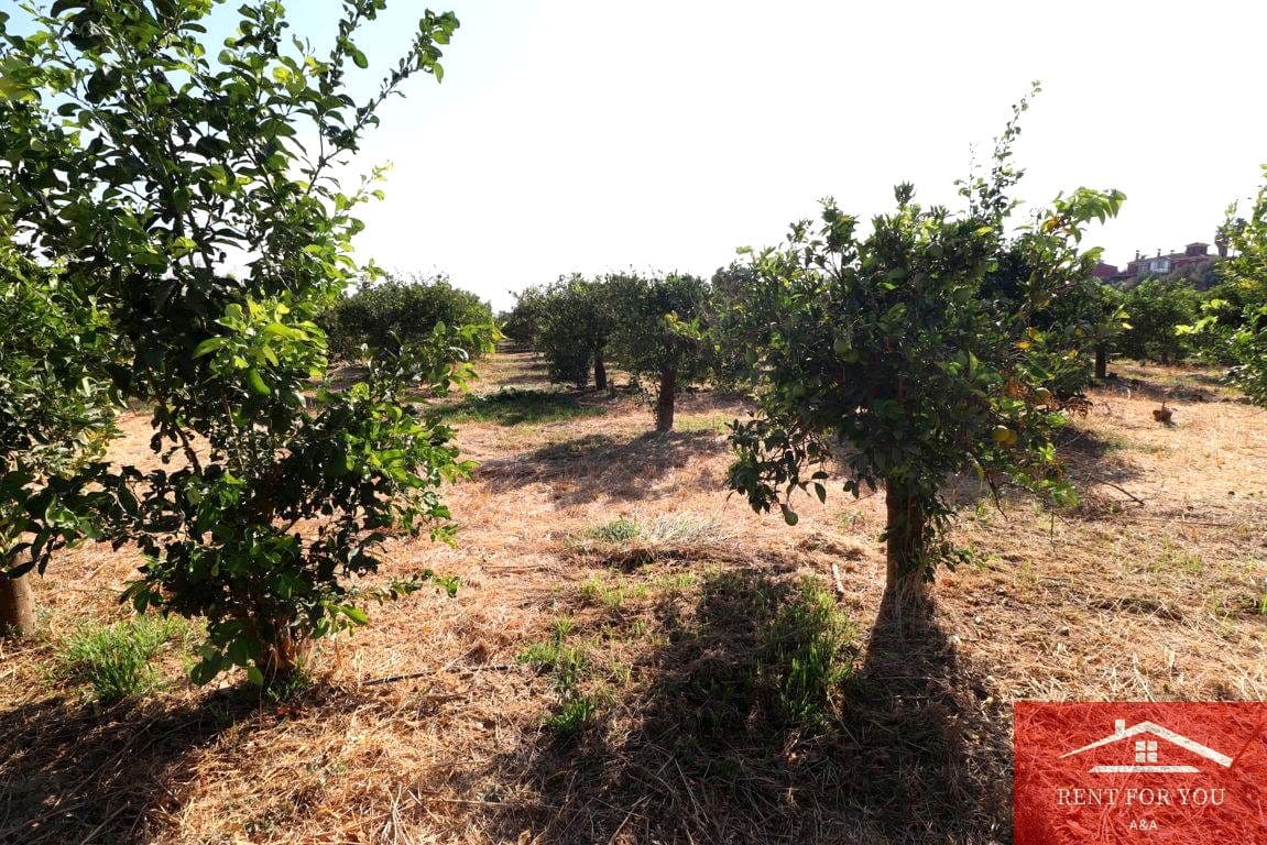 Mark till salu i Cartama - 87 000 € (Ref: 9243665)