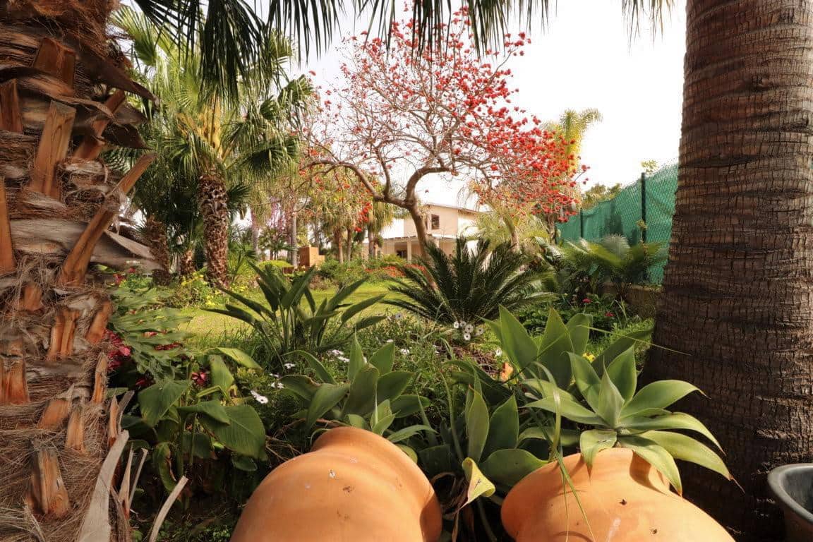 Chalet de 3 habitaciones en Alhaurín el Grande en alquiler - 1.600 € (Ref: 9465975)