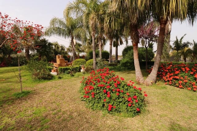 Chalet de 3 habitaciones en Alhaurín el Grande en alquiler - 1.600 € (Ref: 9465975)