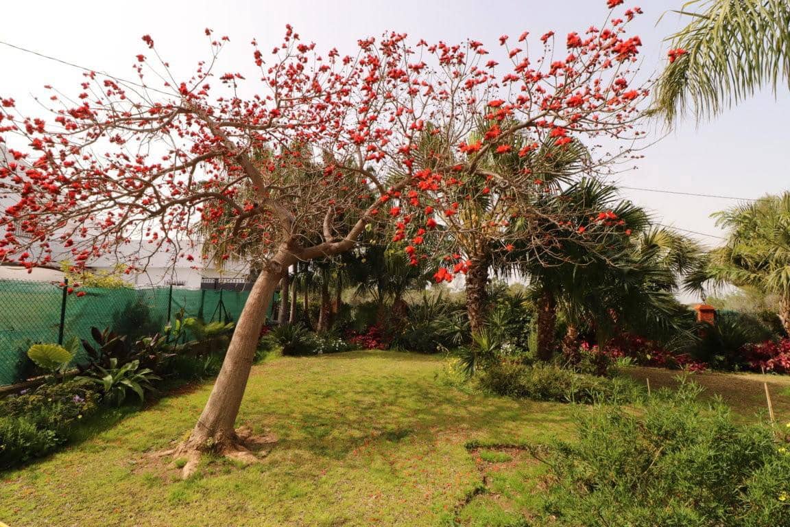 Chalet de 3 habitaciones en Alhaurín el Grande en alquiler - 1.600 € (Ref: 9465975)